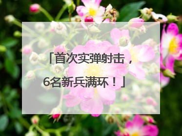 首次实弹射击，6名新兵满环！