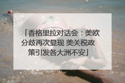 香格里拉对话会：美欧分歧再次显现 美关税政策引发各大洲不安
