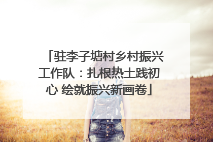 驻李子塘村乡村振兴工作队：扎根热土践初心 绘就振兴新画卷