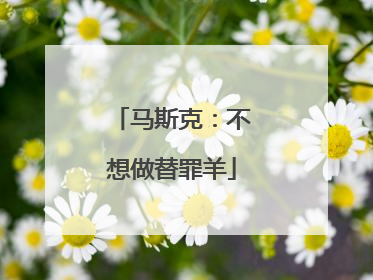 马斯克：不想做替罪羊