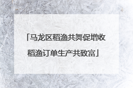 马龙区稻渔共舞促增收 稻渔订单生产共致富