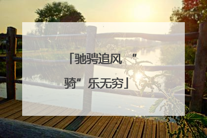 驰骋追风 “骑”乐无穷
