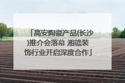 高安陶瓷产品(长沙)推介会落幕 湘赣装饰行业开启深度合作