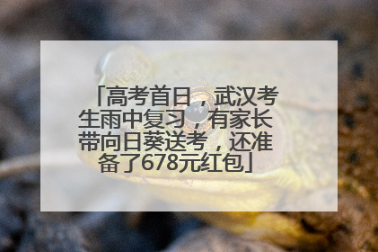 高考首日，武汉考生雨中复习，有家长带向日葵送考，还准备了678元红包