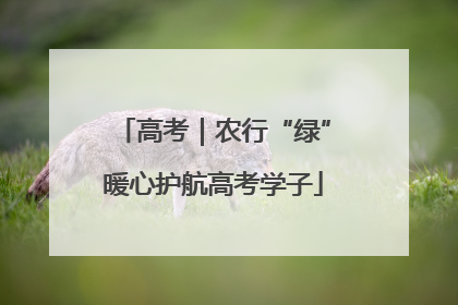 高考｜农行“绿”暖心护航高考学子