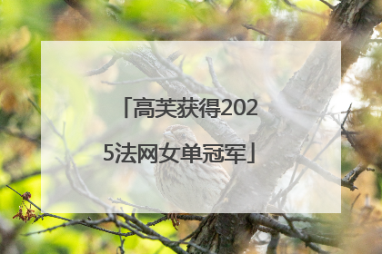 高芙获得2025法网女单冠军