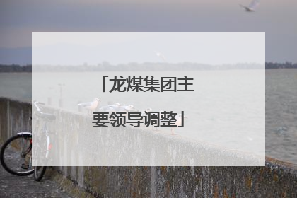 龙煤集团主要领导调整