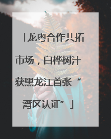 龙粤合作共拓市场，白桦树汁获黑龙江首张“湾区认证”