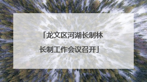 龙文区河湖长制林长制工作会议召开