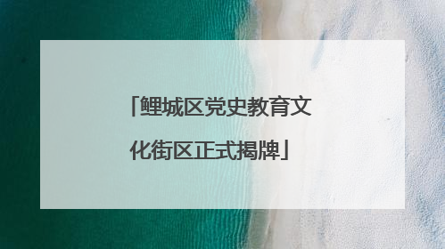 鲤城区党史教育文化街区正式揭牌