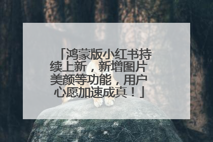 鸿蒙版小红书持续上新，新增图片美颜等功能，用户心愿加速成真！