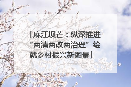 麻江坝芒：纵深推进“两清两改两治理”绘就乡村振兴新图景