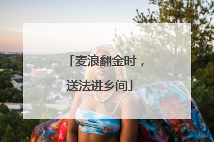 麦浪翻金时，送法进乡间