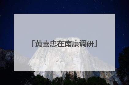 黄喜忠在南康调研