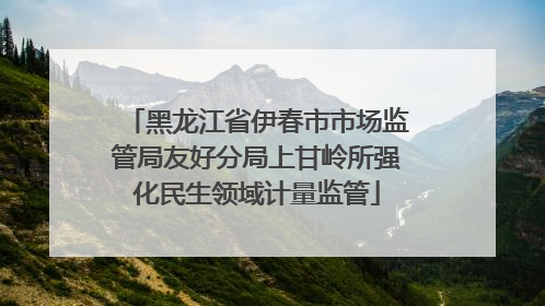 黑龙江省伊春市市场监管局友好分局上甘岭所强化民生领域计量监管