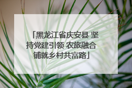 黑龙江省庆安县 坚持党建引领 农旅融合铺就乡村共富路