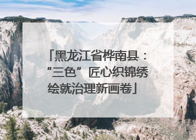 黑龙江省桦南县：“三色”匠心织锦绣 绘就治理新画卷
