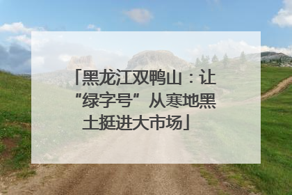 黑龙江双鸭山：让“绿字号”从寒地黑土挺进大市场