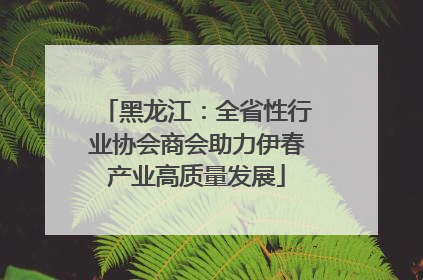 黑龙江：全省性行业协会商会助力伊春产业高质量发展