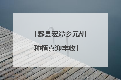 黟县宏潭乡元胡种植喜迎丰收