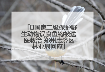 ﻿国家二级保护野生动物误食鱼钩被送医救治 郑州惠济区林业局回应