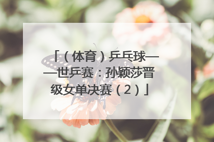 （体育）乒乓球——世乒赛：孙颖莎晋级女单决赛（2）