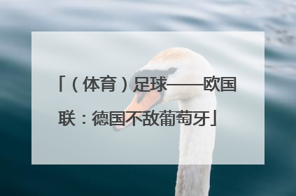 （体育）足球——欧国联：德国不敌葡萄牙