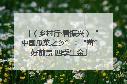 （乡村行·看振兴）“中国瓜菜之乡”：“莓”好前景 四季生金