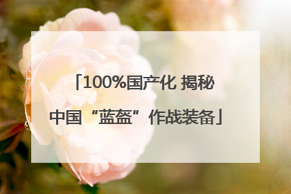 100%国产化 揭秘中国“蓝盔”作战装备