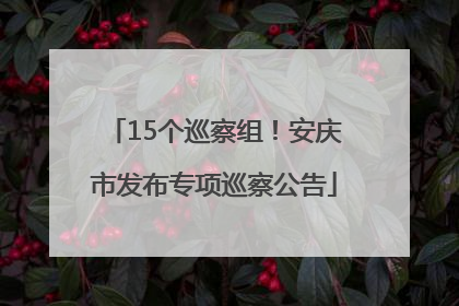 15个巡察组！安庆市发布专项巡察公告