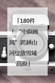 180件！“中原画风”跨越山河绽放雪域高原