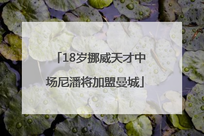 18岁挪威天才中场尼潘将加盟曼城
