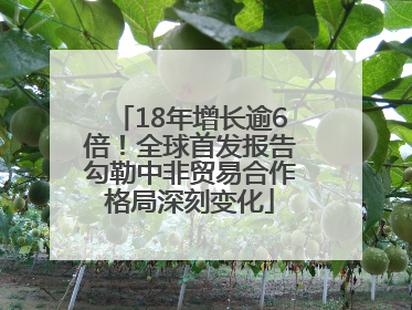 18年增长逾6倍！全球首发报告勾勒中非贸易合作格局深刻变化