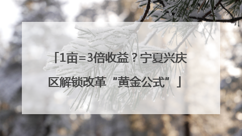 1亩=3倍收益？宁夏兴庆区解锁改革“黄金公式”