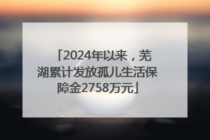 2024年以来，芜湖累计发放孤儿生活保障金2758万元