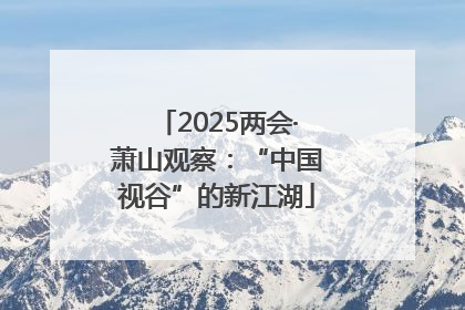 2025两会·萧山观察：“中国视谷”的新江湖