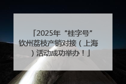2025年“桂字号”钦州荔枝产销对接（上海）活动成功举办！