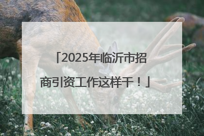 2025年临沂市招商引资工作这样干！