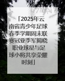 2025年云南省青少年足球春季学期周末联赛冠亚季军揭晓 职业球星与足球小将共享荣耀时刻