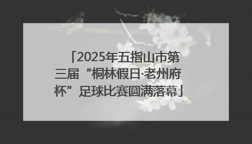2025年五指山市第三届“桐林假日·老州府杯”足球比赛圆满落幕