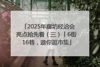 2025年廊坊经洽会亮点抢先看（三）丨6街16巷，邀你逛市集