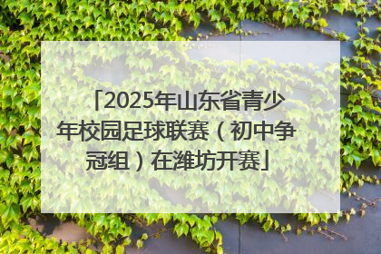 2025年山东省青少年校园足球联赛（初中争冠组）在潍坊开赛