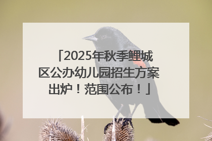 2025年秋季鲤城区公办幼儿园招生方案出炉！范围公布！