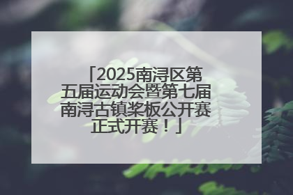 2025南浔区第五届运动会暨第七届南浔古镇桨板公开赛正式开赛！
