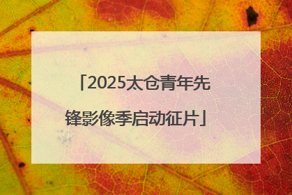2025太仓青年先锋影像季启动征片