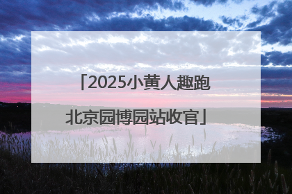 2025小黄人趣跑北京园博园站收官
