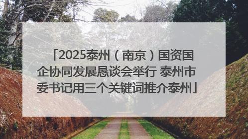 2025泰州（南京）国资国企协同发展恳谈会举行 泰州市委书记用三个关键词推介泰州