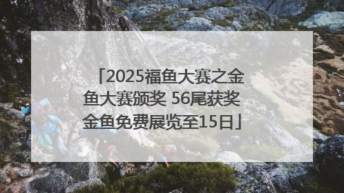 2025福鱼大赛之金鱼大赛颁奖 56尾获奖金鱼免费展览至15日