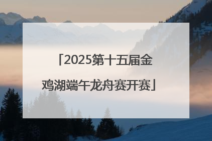 2025第十五届金鸡湖端午龙舟赛开赛