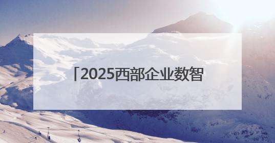 2025西部企业数智发展大会在成都召开